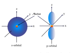 Shape or diagram of s-orbital and p-orbitals