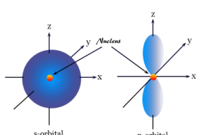 Shape or diagram of s-orbital and p-orbitals